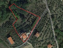 Farmhouse consisting of 6 apartments with 1 hectare of olive grove