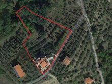 Farmhouse consisting of 6 apartments with 1 hectare of olive grove