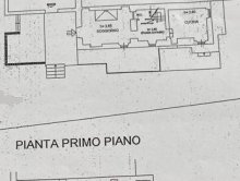 Villa surrounded by greenery