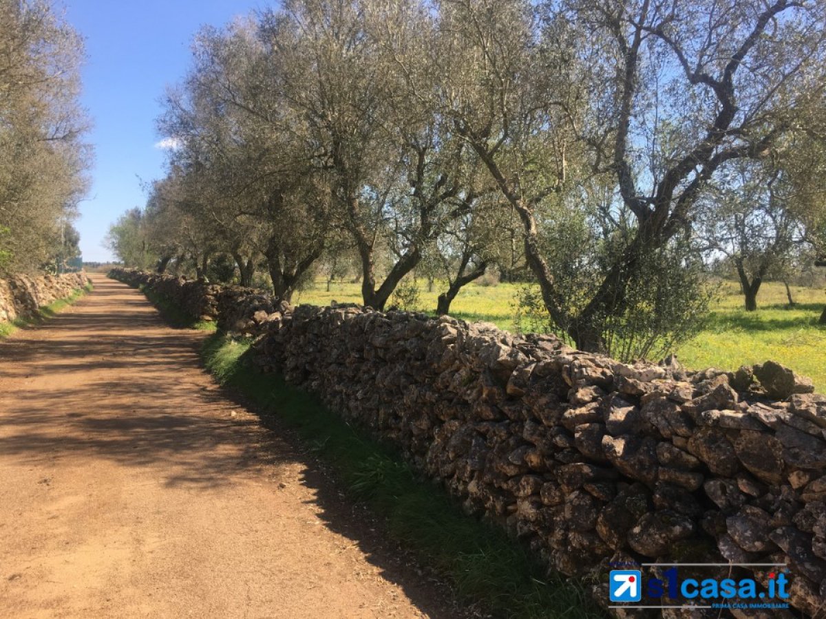 Land for Sale Galatina Lecce, Sale Land Galatina