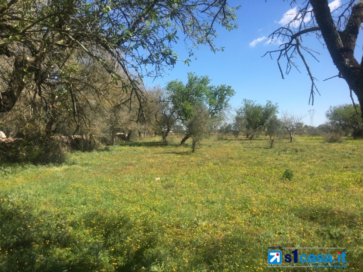 Land for Sale Galatina Lecce, Sale Land Galatina