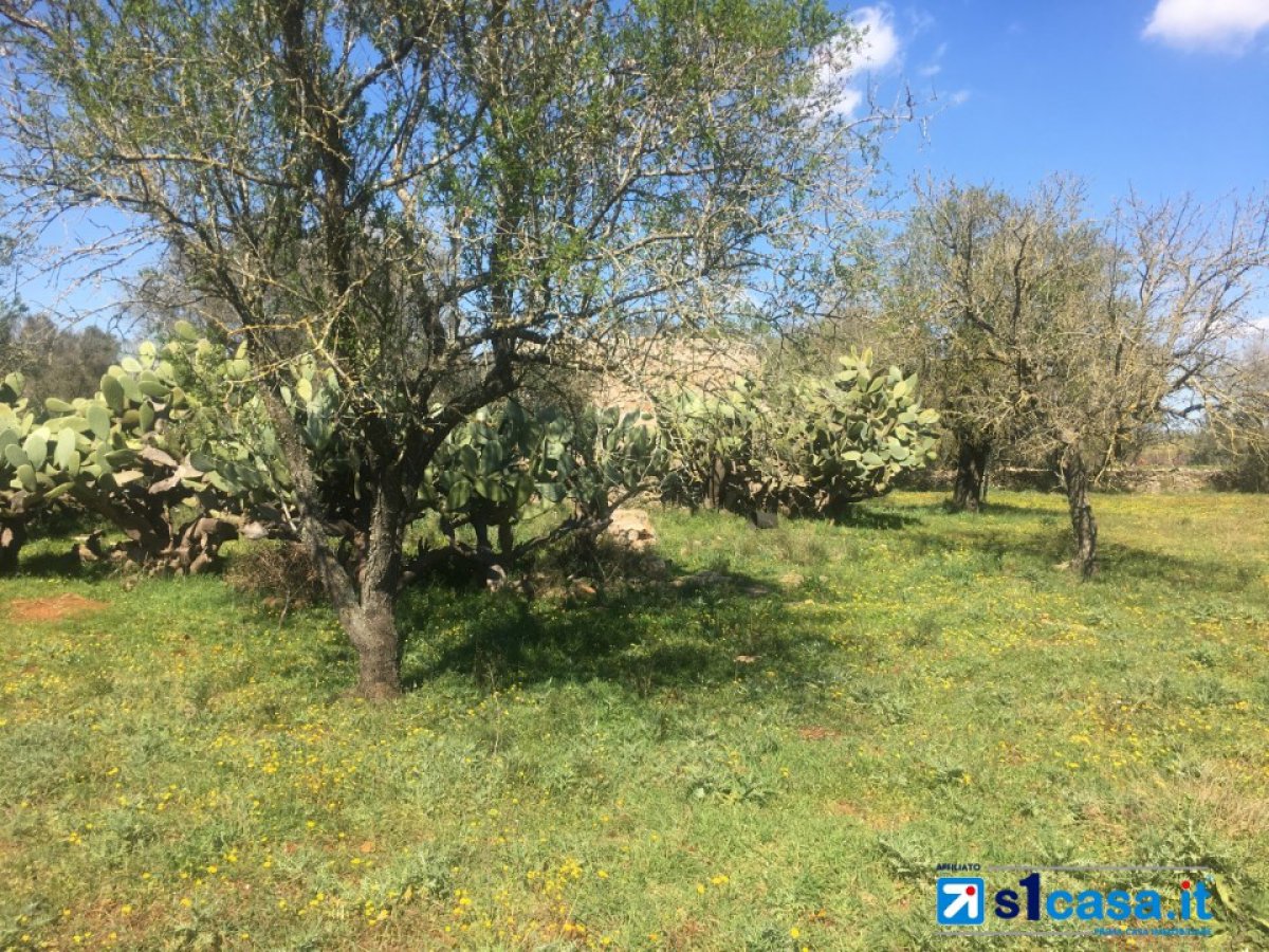 Land for Sale Galatina Lecce, Sale Land Galatina