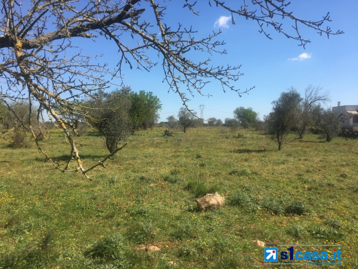 Land for Sale Galatina Lecce, Sale Land Galatina