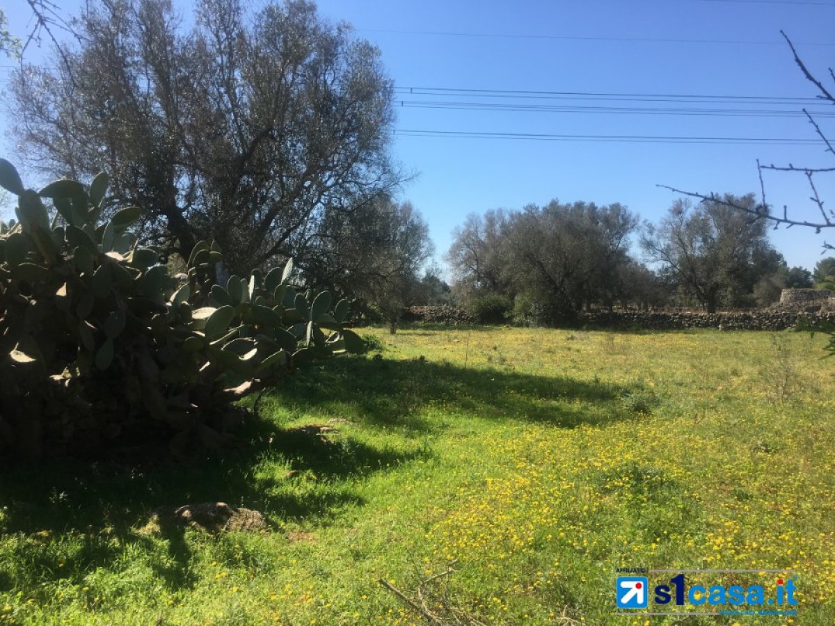 Land for Sale Galatina Lecce, Sale Land Galatina
