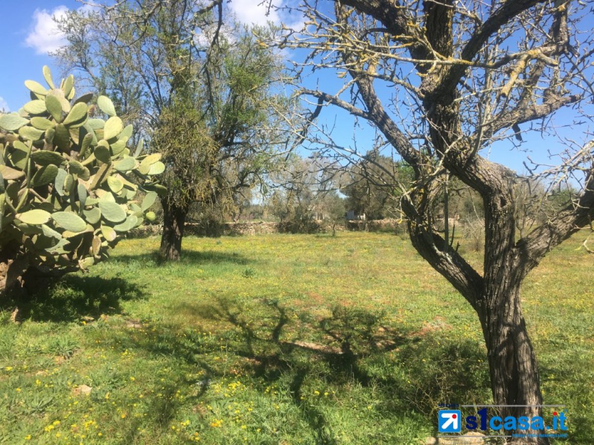 Land for Sale Galatina Lecce, Sale Land Galatina