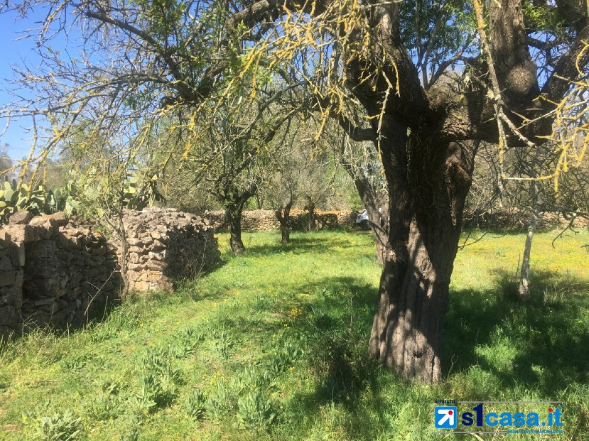 Land for Sale Galatina Lecce, Sale Land Galatina