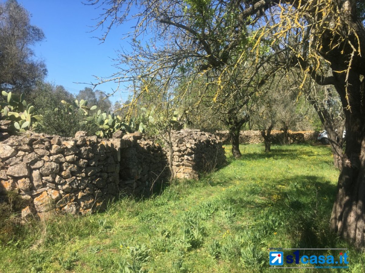 Land for Sale Galatina Lecce, Sale Land Galatina