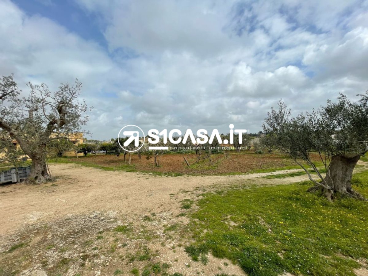 Detached for Sale Galatone Lecce, Sale Detached Galatone