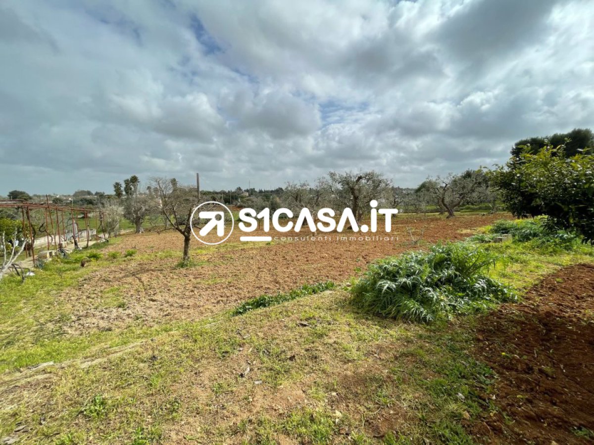 Detached for Sale Galatone Lecce, Sale Detached Galatone