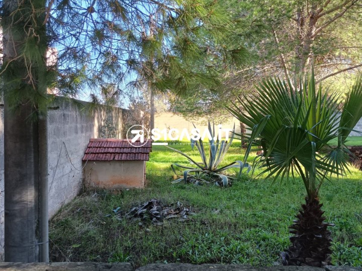 Land for Sale Galatone Lecce, Sale Land Galatone