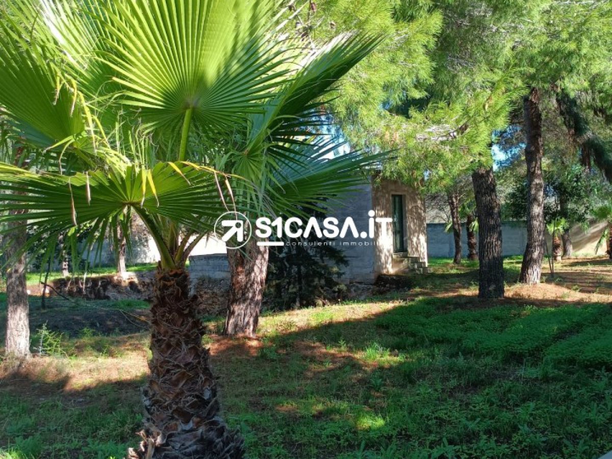 Land for Sale Galatone Lecce, Sale Land Galatone
