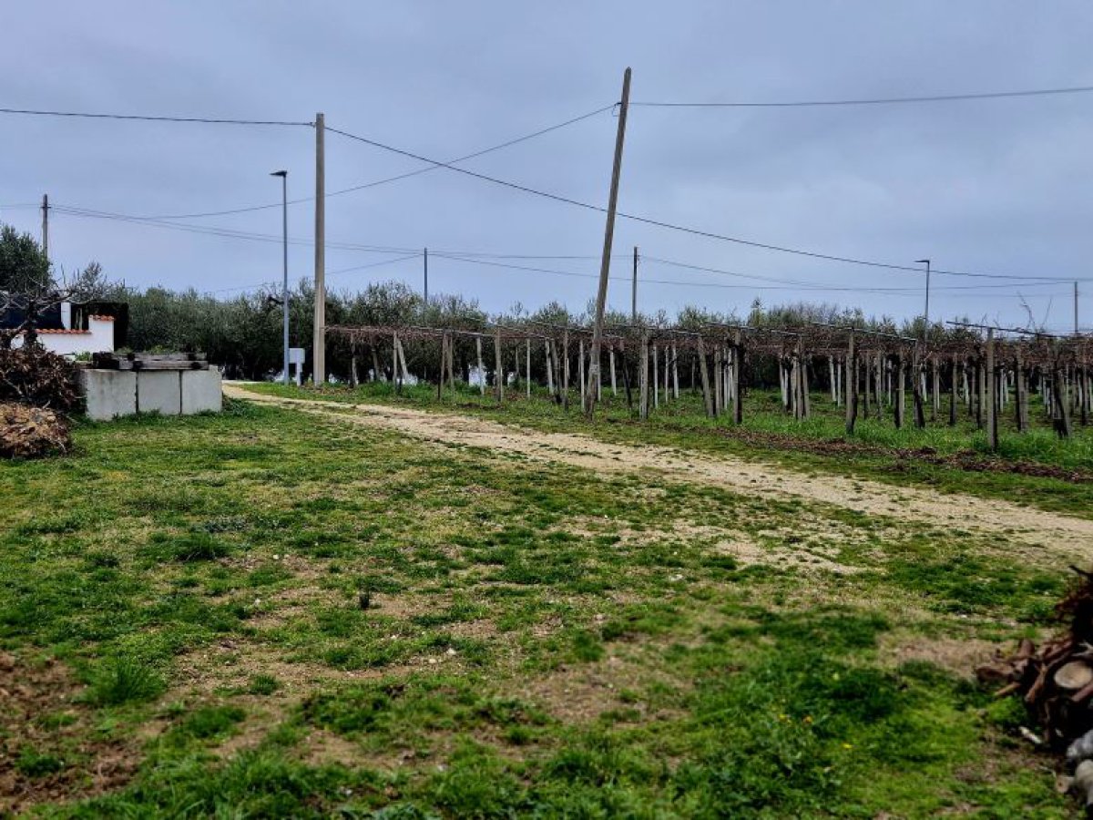 Villa for Sale Casalbordino Chieti, Sale Villa Casalbordino