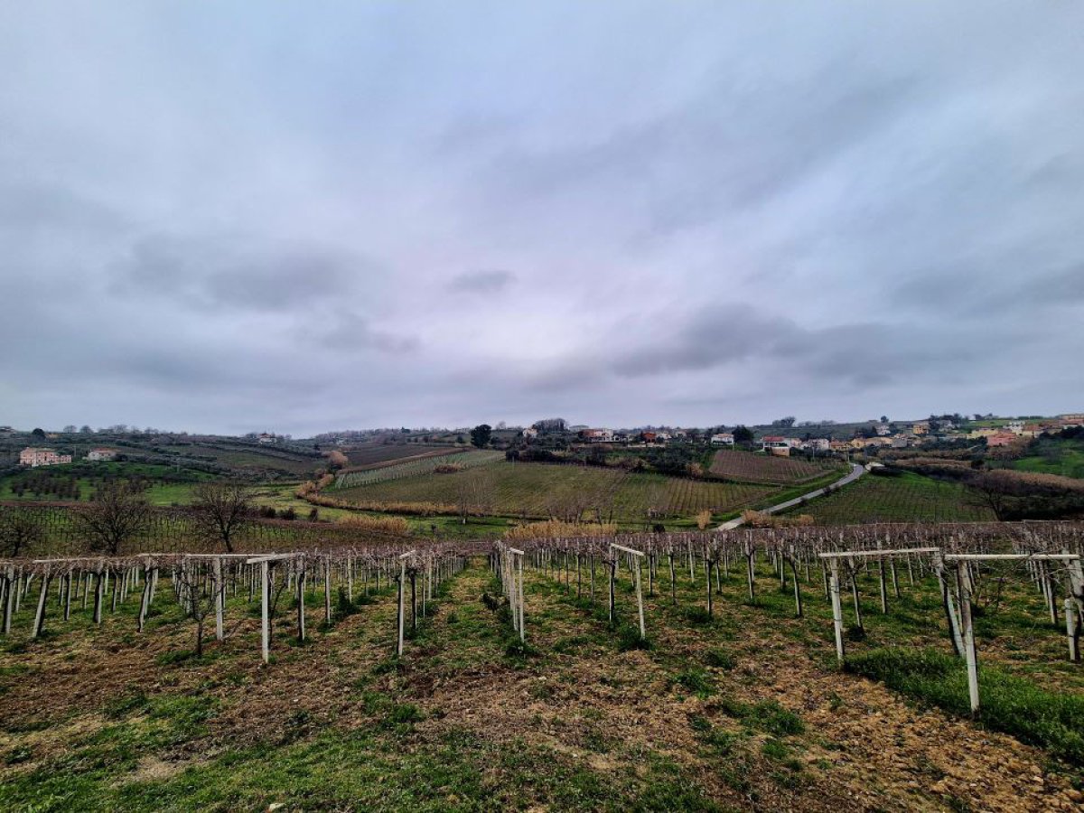 Villa for Sale Casalbordino Chieti, Sale Villa Casalbordino