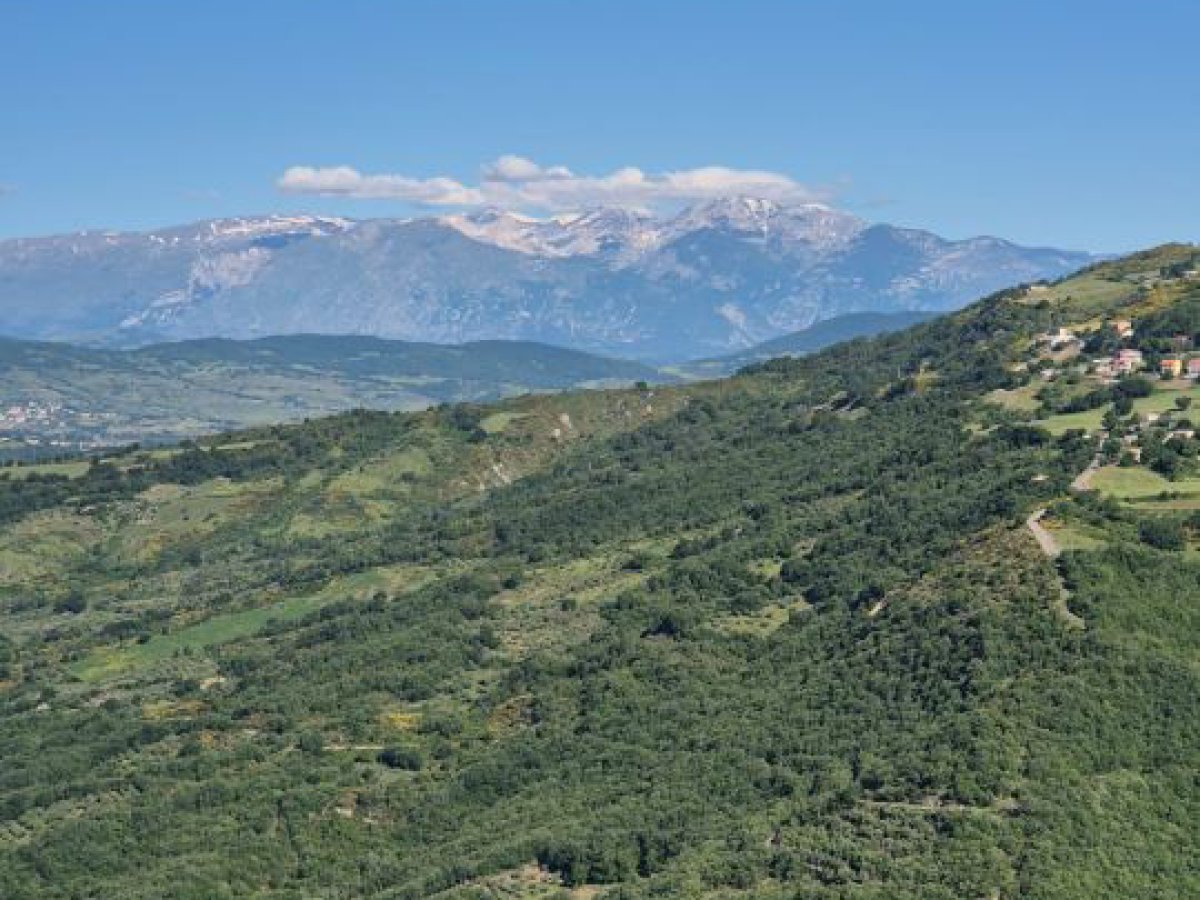 Villa for Sale Palmoli Chieti, Sale Villa Palmoli