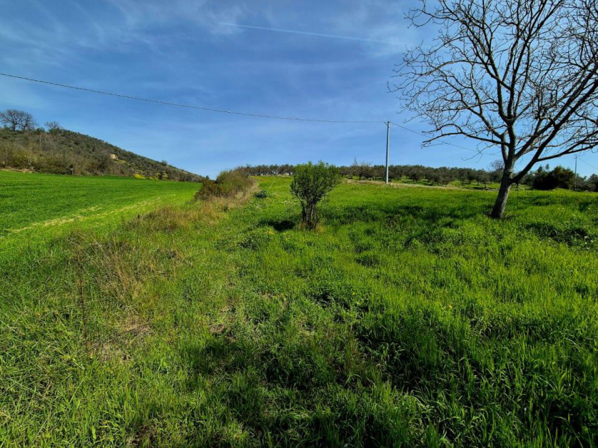 Villa for Sale Loreto Aprutino Pescara, Sale Villa Loreto Aprutino