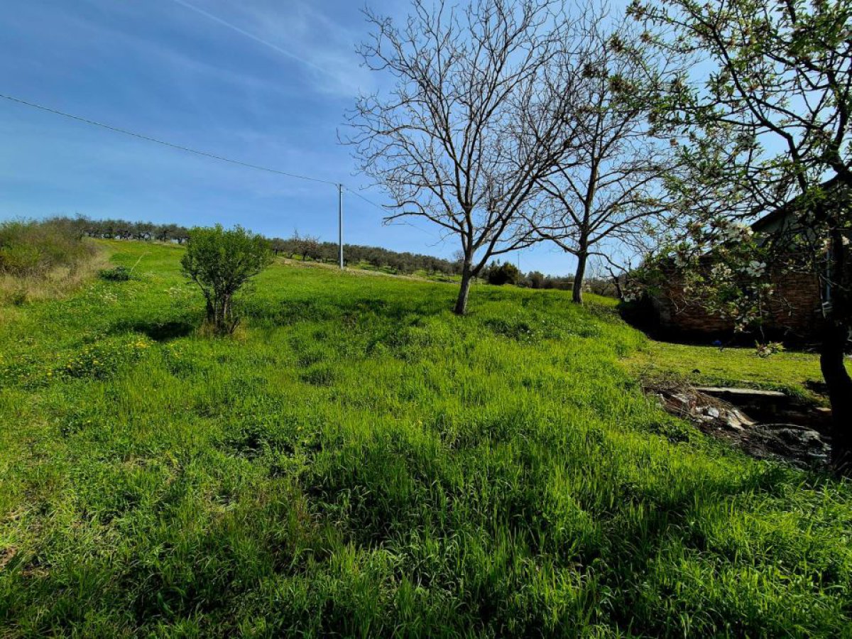 Villa for Sale Loreto Aprutino Pescara, Sale Villa Loreto Aprutino