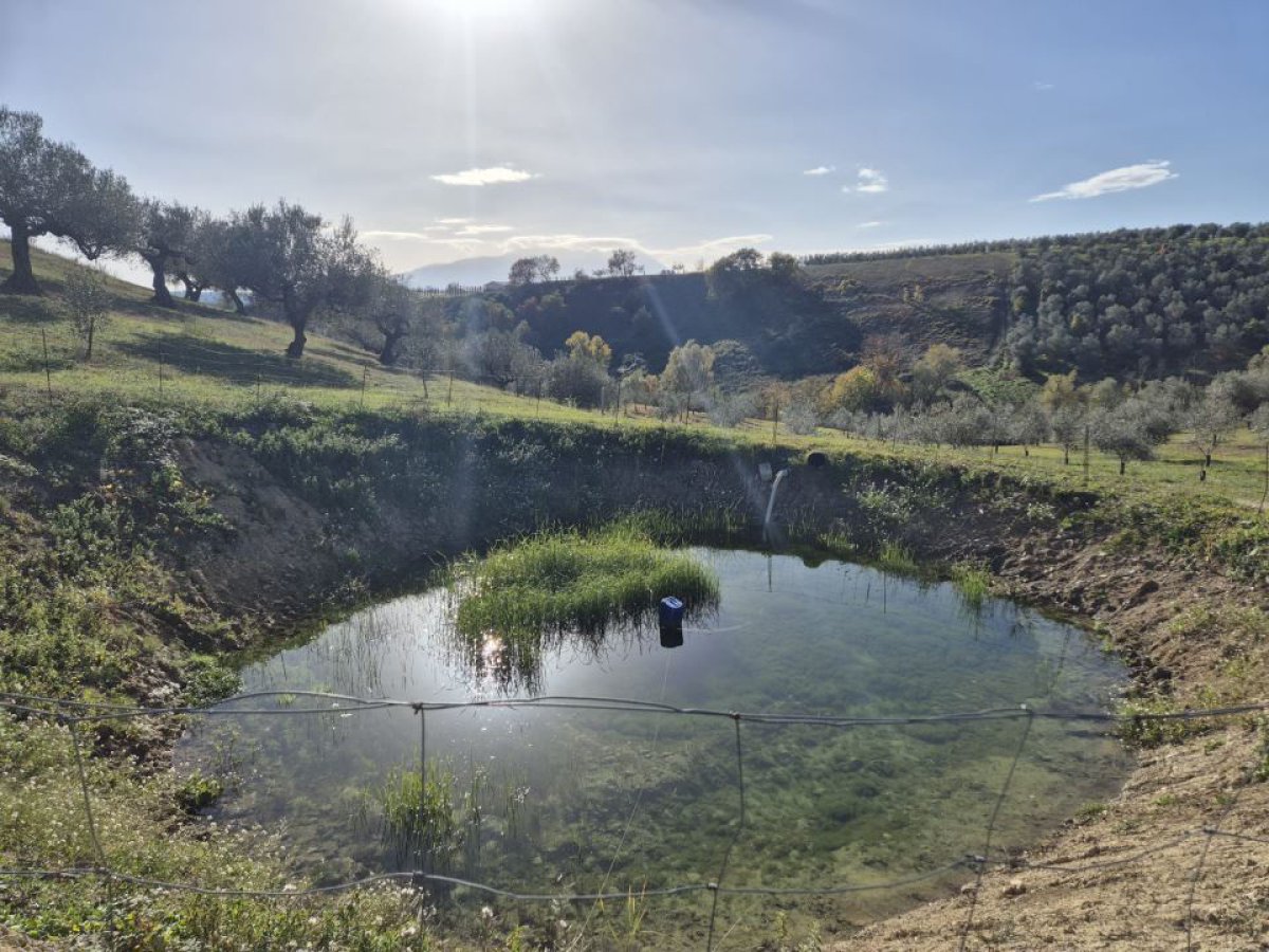 Cottage/Hamlet for Sale Loreto Aprutino Pescara, Sale Cottage/Hamlet Loreto Aprutino