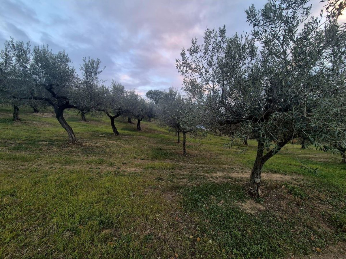 Cottage/Hamlet for Sale Loreto Aprutino Pescara, Sale Cottage/Hamlet Loreto Aprutino