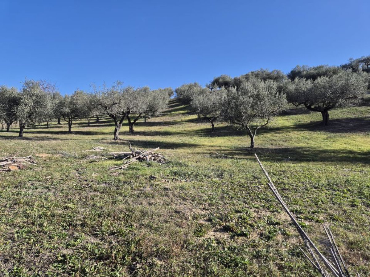 Cottage/Hamlet for Sale Loreto Aprutino Pescara, Sale Cottage/Hamlet Loreto Aprutino