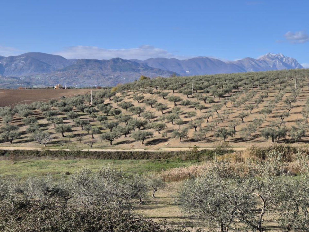 Cottage/Hamlet for Sale Loreto Aprutino Pescara, Sale Cottage/Hamlet Loreto Aprutino