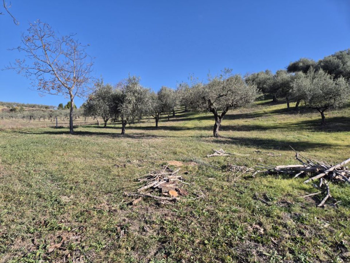 Cottage/Hamlet for Sale Loreto Aprutino Pescara, Sale Cottage/Hamlet Loreto Aprutino