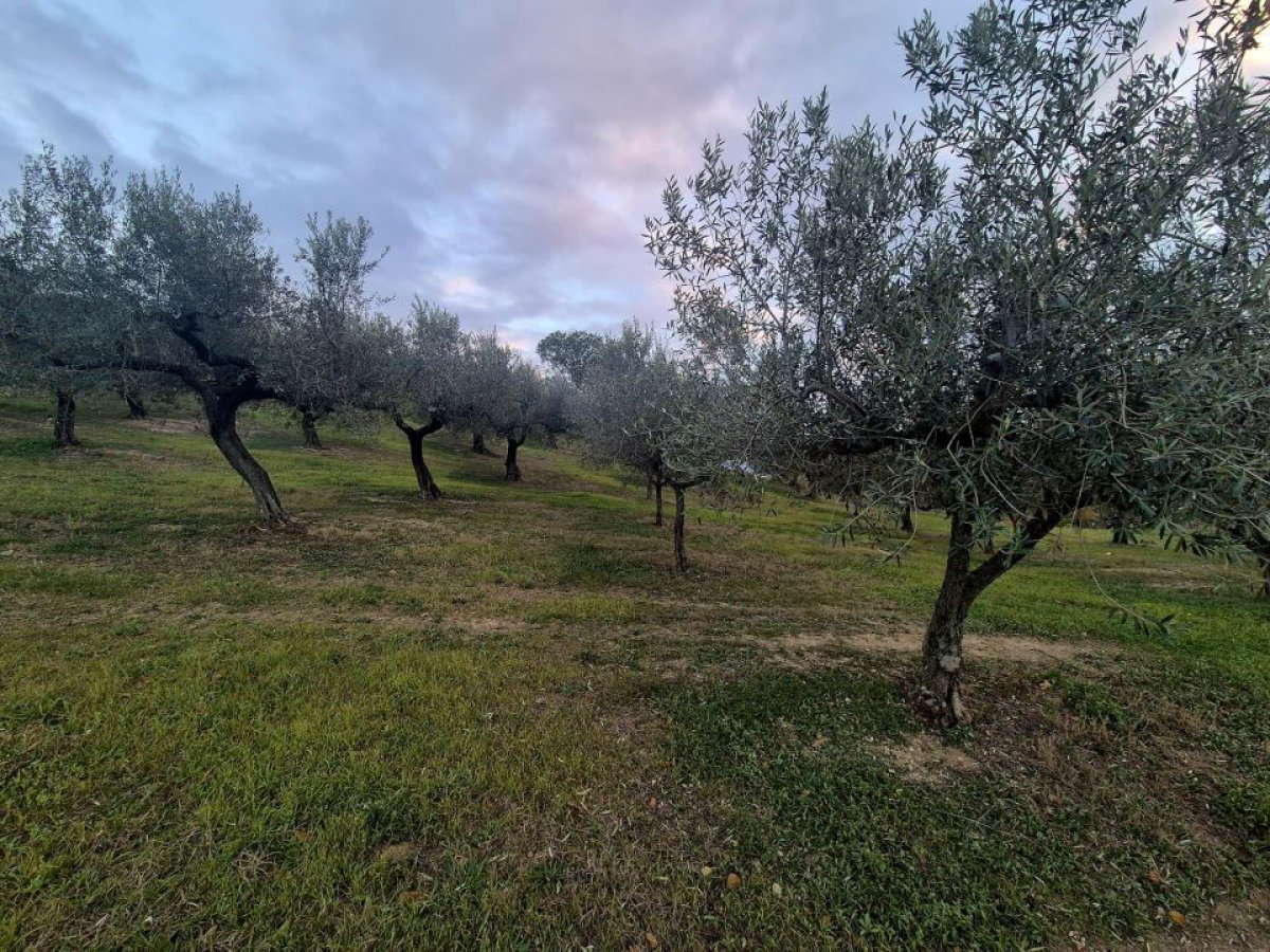 Cottage/Hamlet for Sale Loreto Aprutino Pescara, Sale Cottage/Hamlet Loreto Aprutino