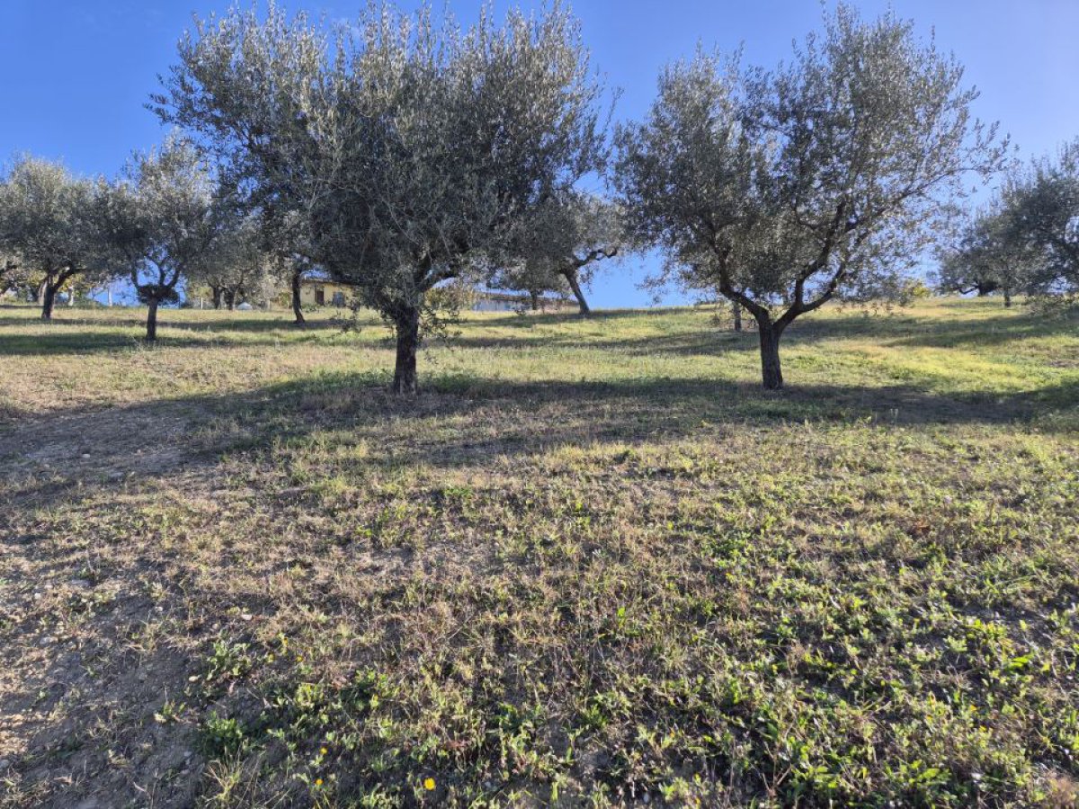 Cottage/Hamlet for Sale Loreto Aprutino Pescara, Sale Cottage/Hamlet Loreto Aprutino