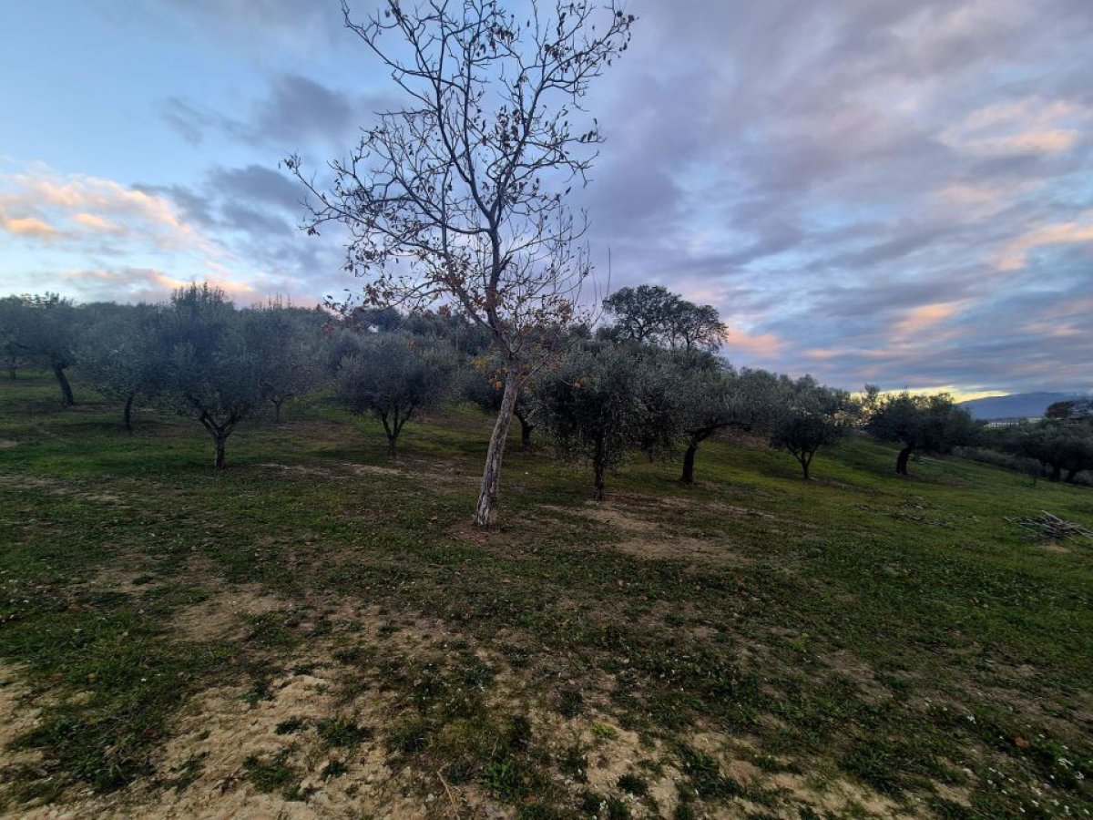 Cottage/Hamlet for Sale Loreto Aprutino Pescara, Sale Cottage/Hamlet Loreto Aprutino