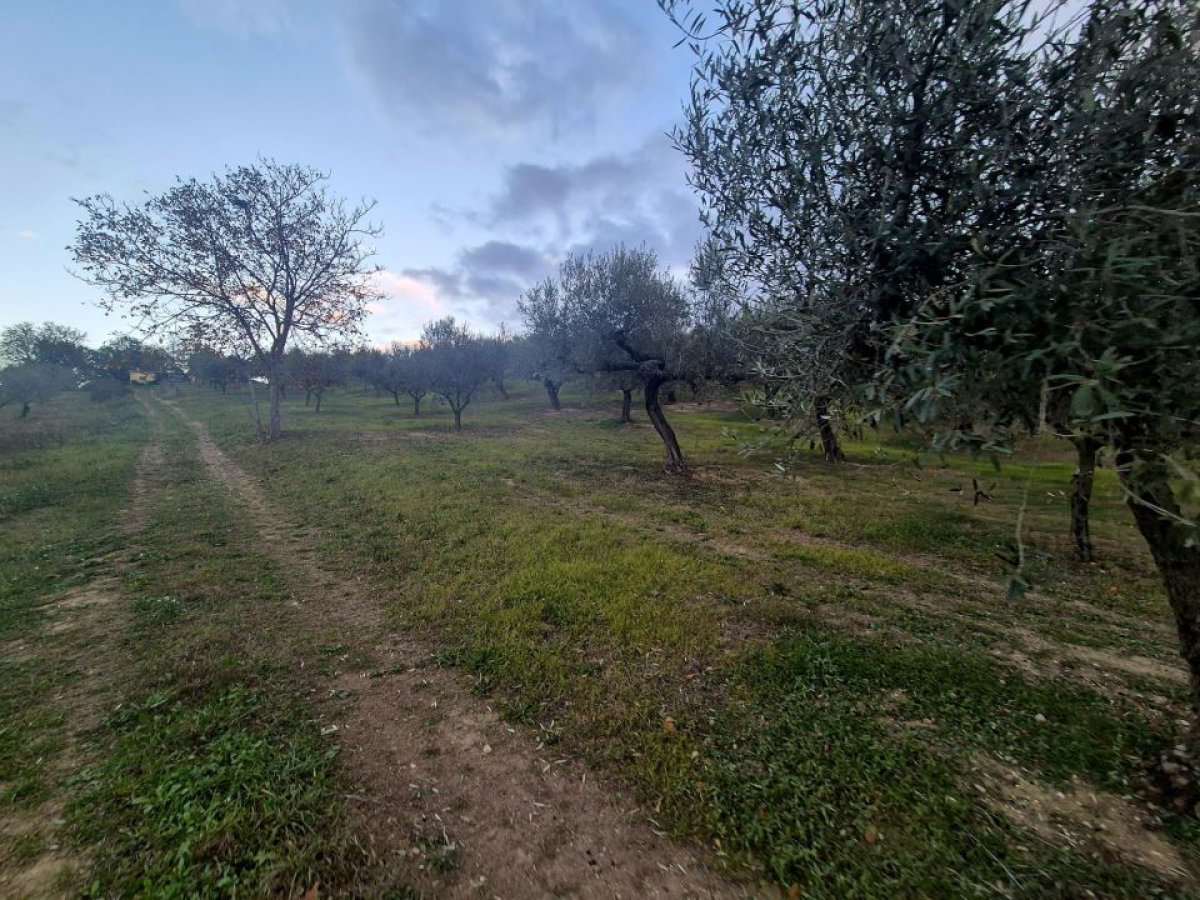 Cottage/Hamlet for Sale Loreto Aprutino Pescara, Sale Cottage/Hamlet Loreto Aprutino