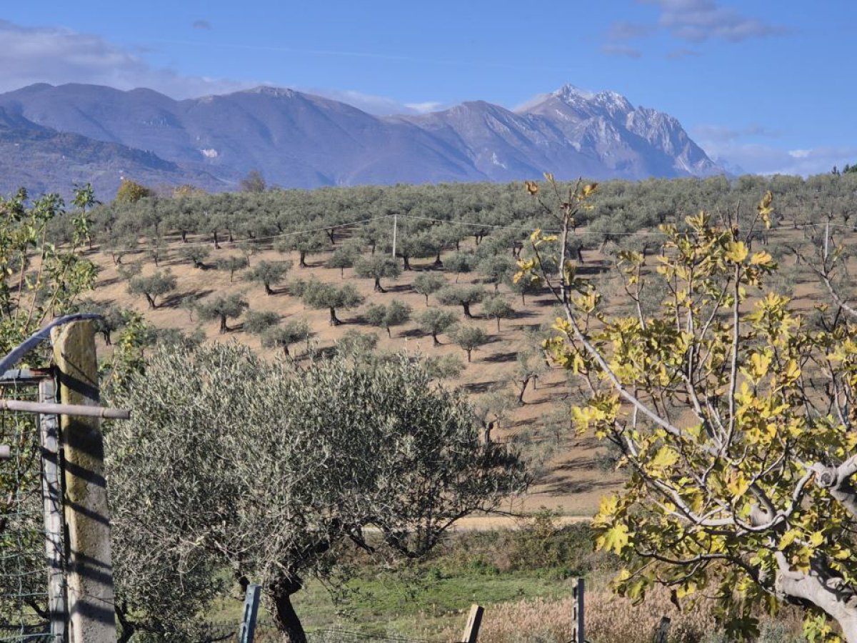 Cottage/Hamlet for Sale Loreto Aprutino Pescara, Sale Cottage/Hamlet Loreto Aprutino