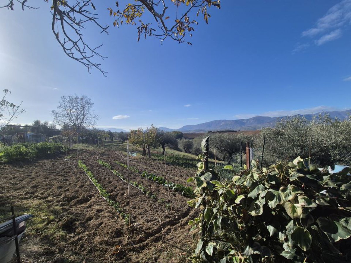 Cottage/Hamlet for Sale Loreto Aprutino Pescara, Sale Cottage/Hamlet Loreto Aprutino