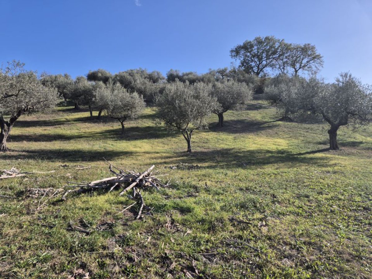 Cottage/Hamlet for Sale Loreto Aprutino Pescara, Sale Cottage/Hamlet Loreto Aprutino