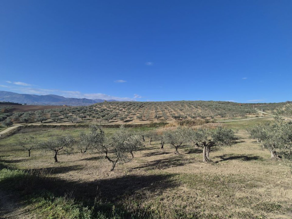 Land for Sale Loreto Aprutino Pescara, Sale Land Loreto Aprutino