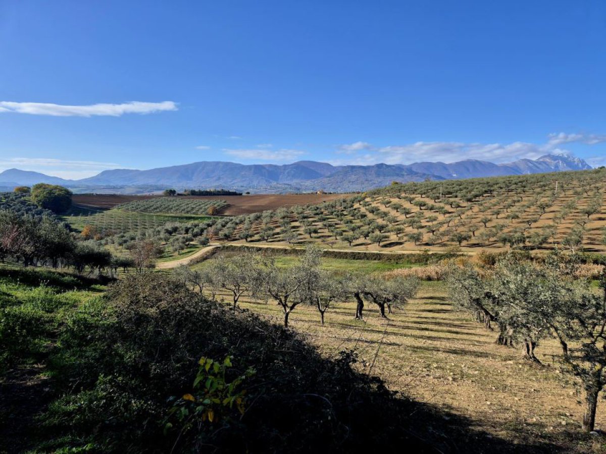 Land for Sale Loreto Aprutino Pescara, Sale Land Loreto Aprutino