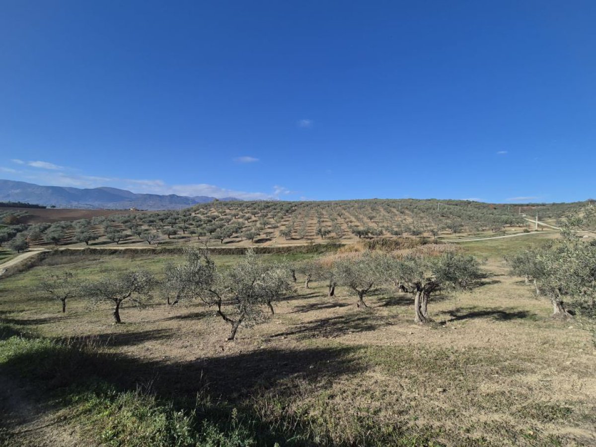 Land for Sale Loreto Aprutino Pescara, Sale Land Loreto Aprutino