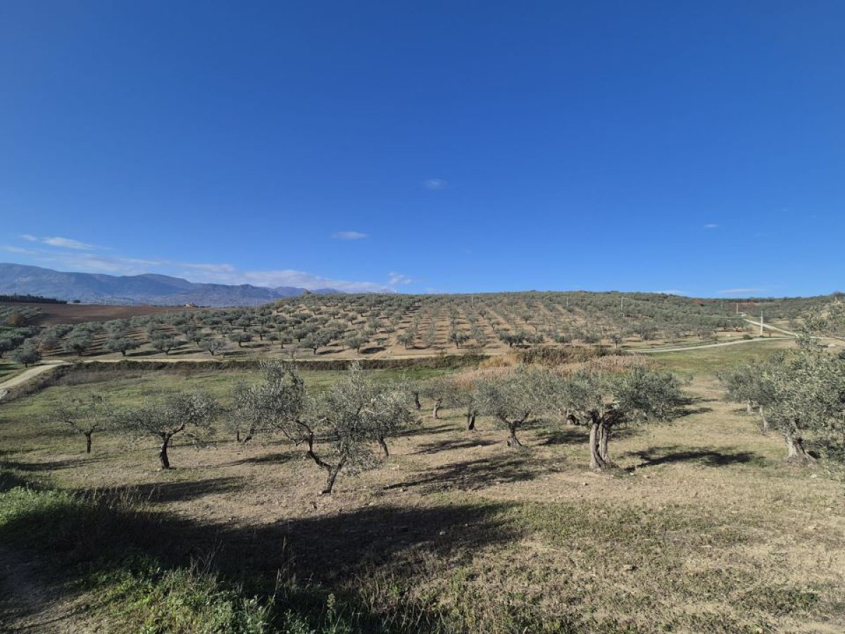 Land for Sale Loreto Aprutino Pescara, Sale Land Loreto Aprutino