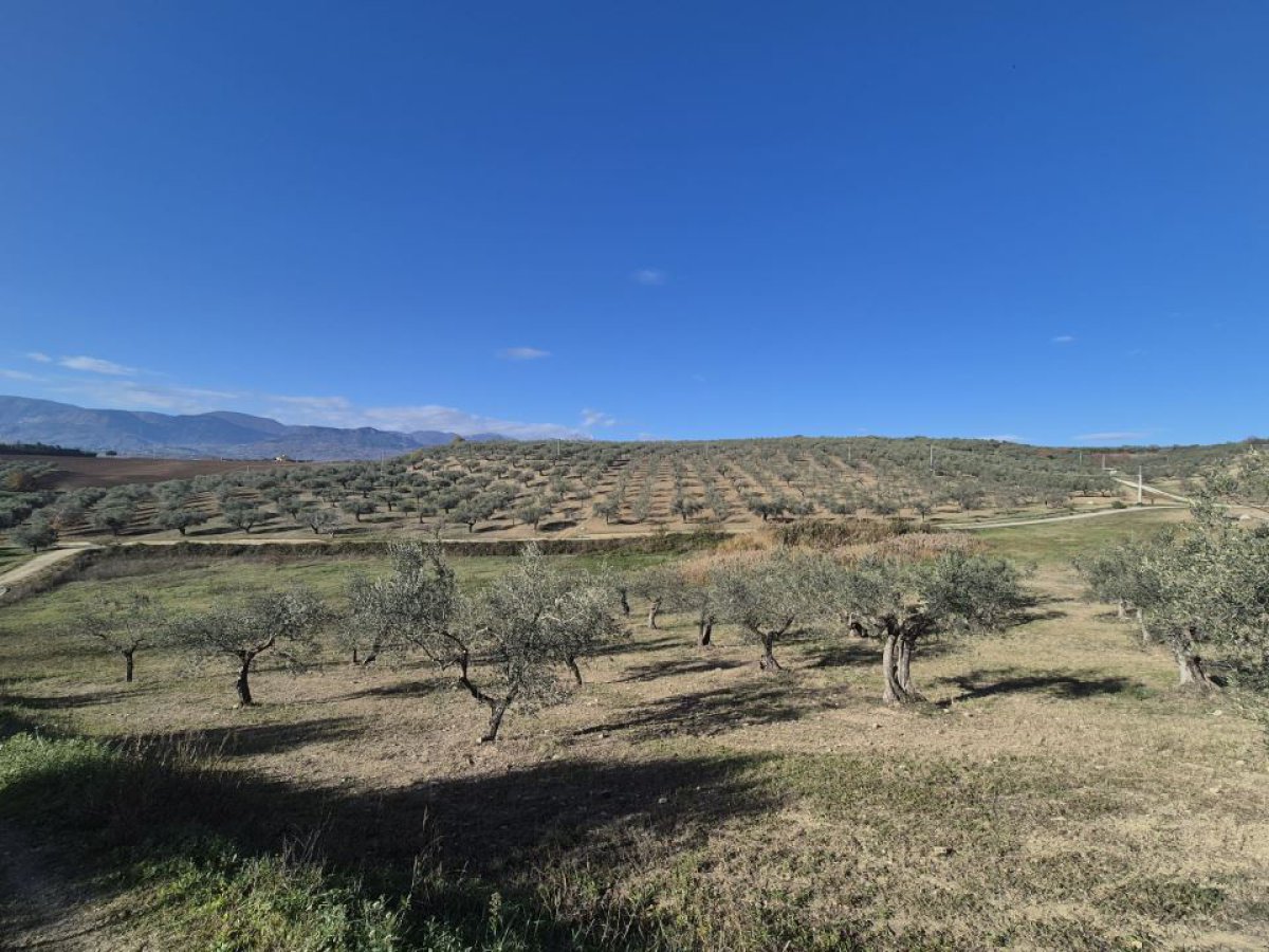 Land for Sale Loreto Aprutino Pescara, Sale Land Loreto Aprutino