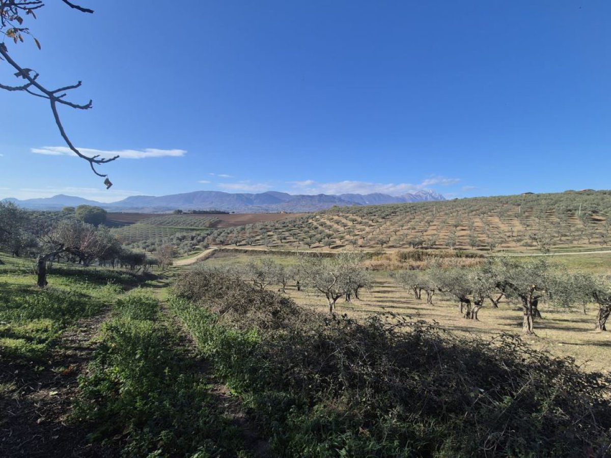 Land for Sale Loreto Aprutino Pescara, Sale Land Loreto Aprutino