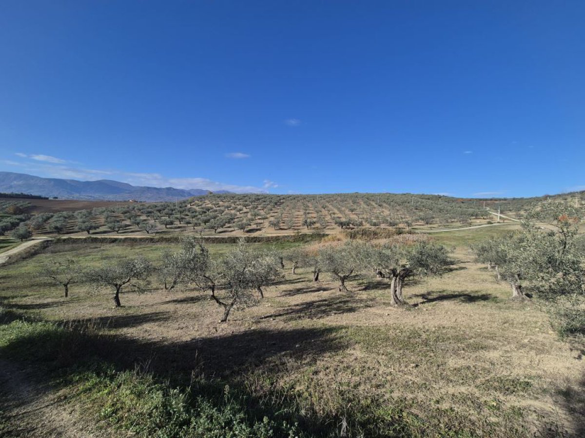 Land for Sale Loreto Aprutino Pescara, Sale Land Loreto Aprutino