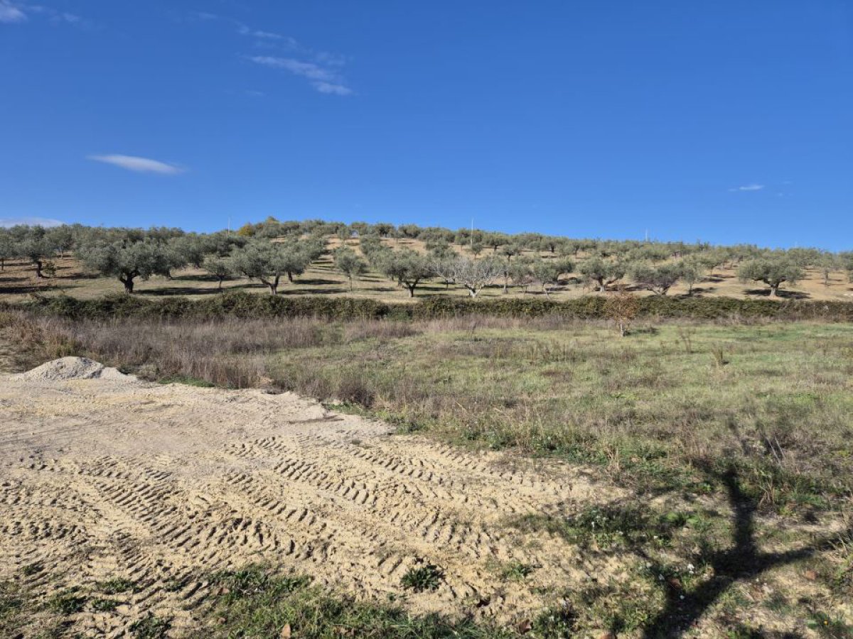 Land for Sale Loreto Aprutino Pescara, Sale Land Loreto Aprutino