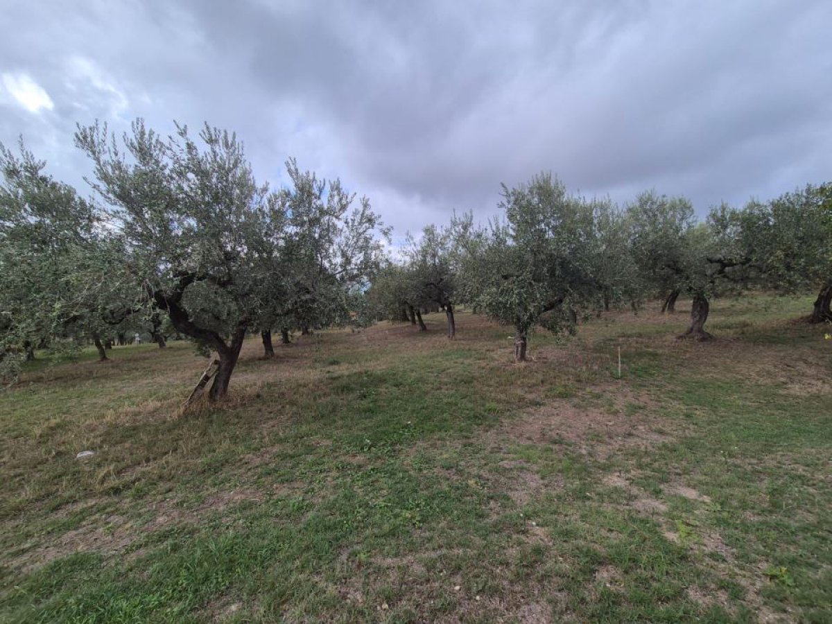 Building area for Sale Loreto Aprutino Pescara, Sale Building area Loreto Aprutino