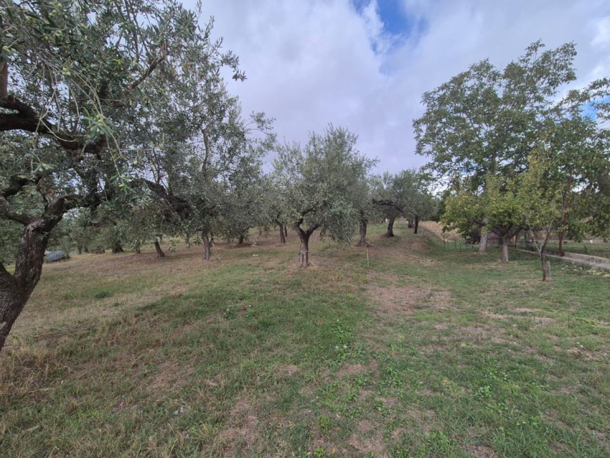Building area for Sale Loreto Aprutino Pescara, Sale Building area Loreto Aprutino