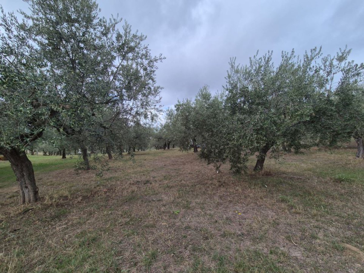 Building area for Sale Loreto Aprutino Pescara, Sale Building area Loreto Aprutino