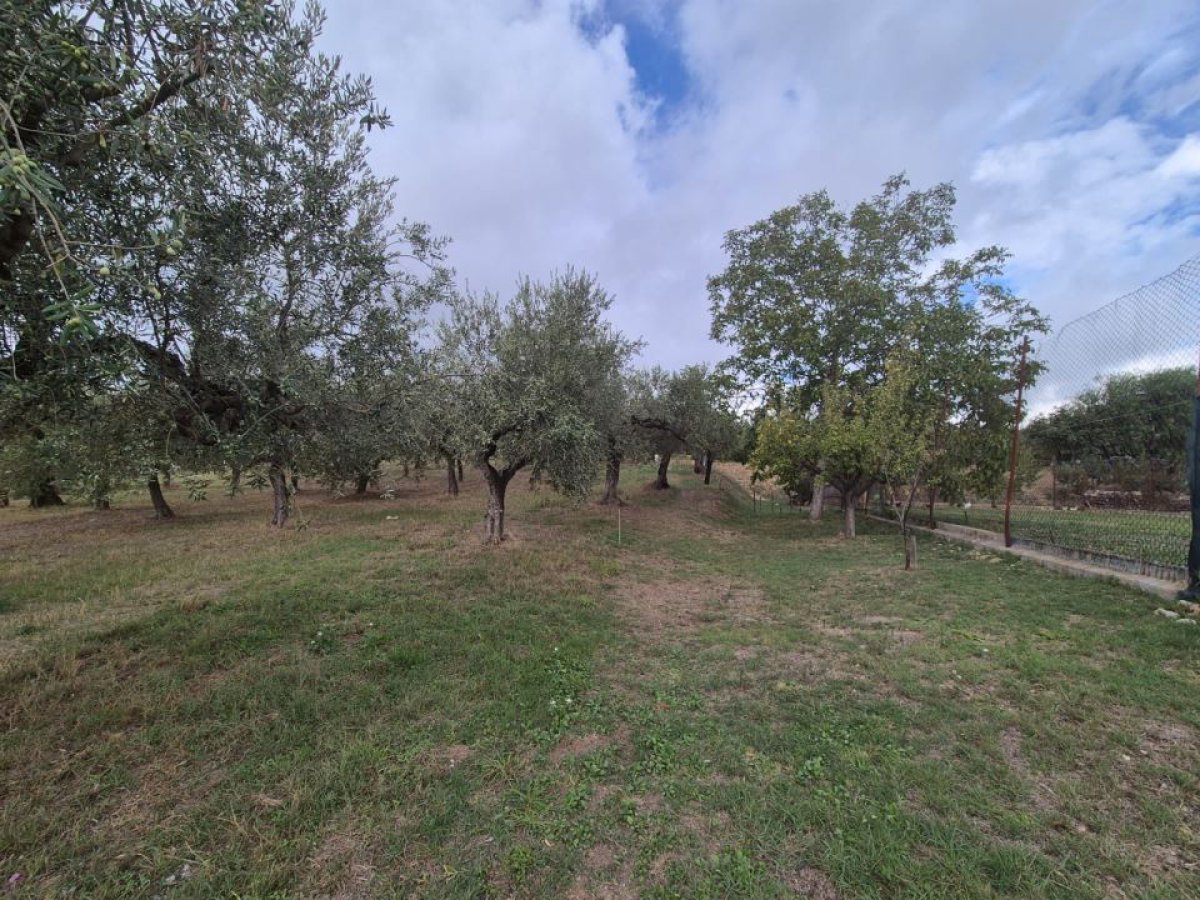 Building area for Sale Loreto Aprutino Pescara, Sale Building area Loreto Aprutino
