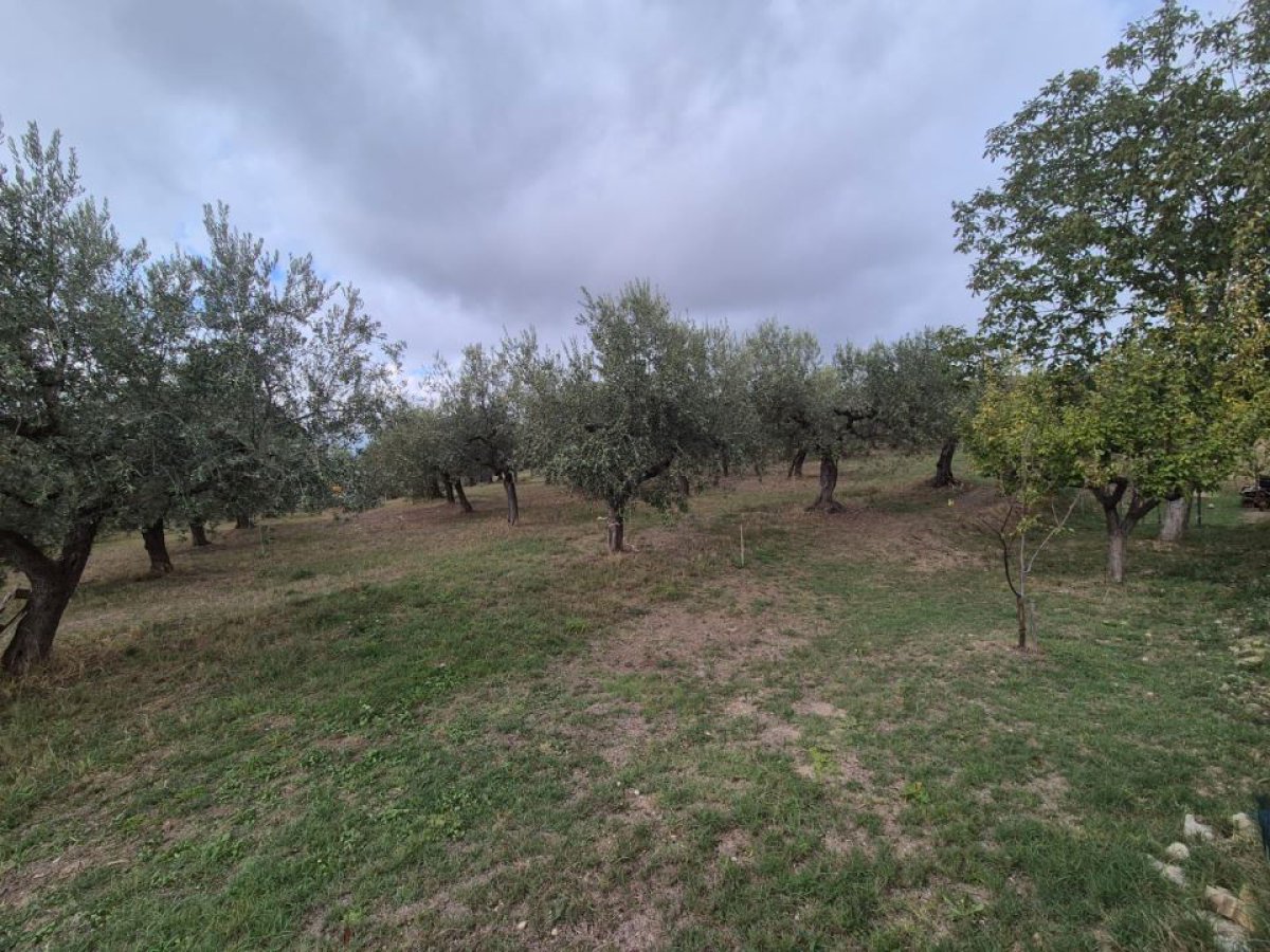 Building area for Sale Loreto Aprutino Pescara, Sale Building area Loreto Aprutino