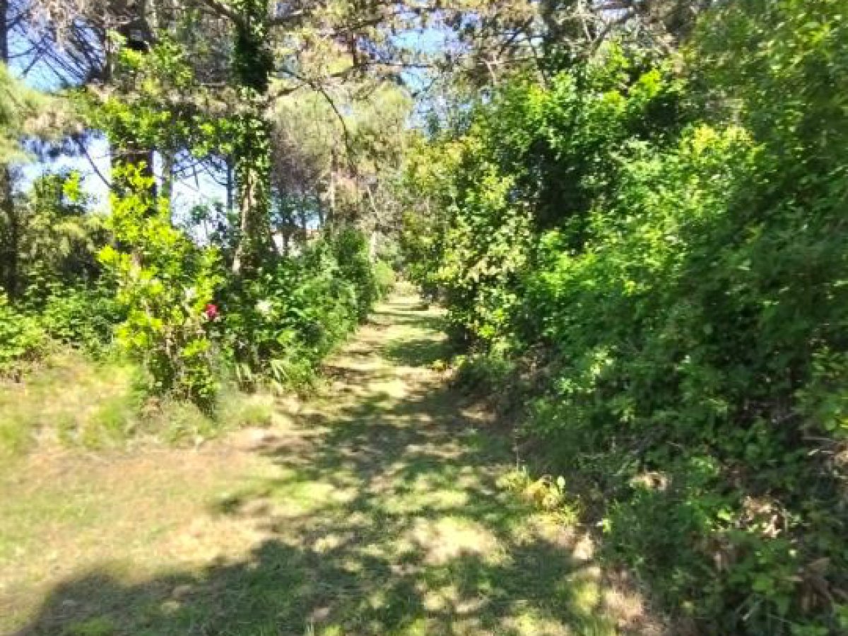 Villa for Sale San Giovanni Teatino Chieti, Sale Villa San Giovanni Teatino