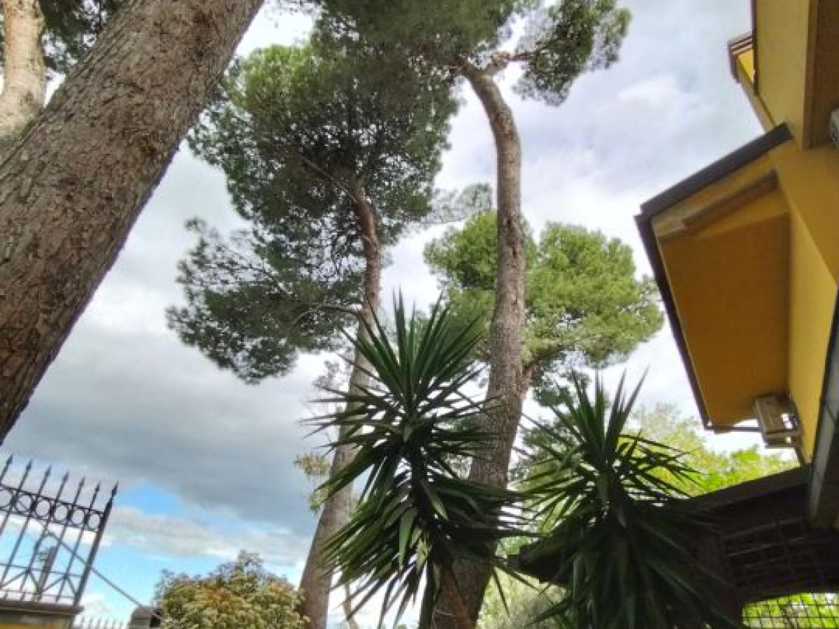 Villa for Sale Pescara Pescara, Sale Villa Pescara