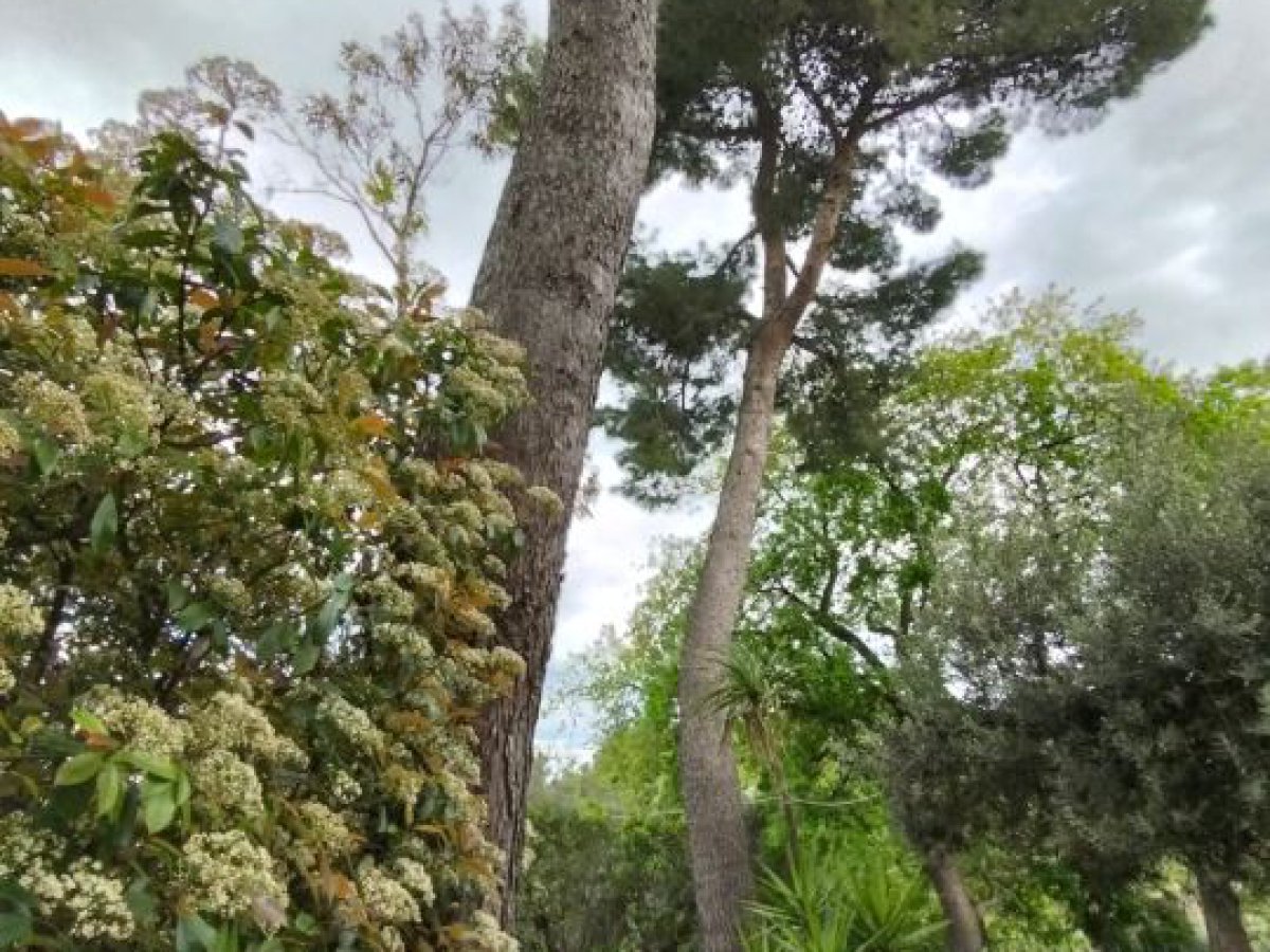 Villa for Sale Pescara Pescara, Sale Villa Pescara