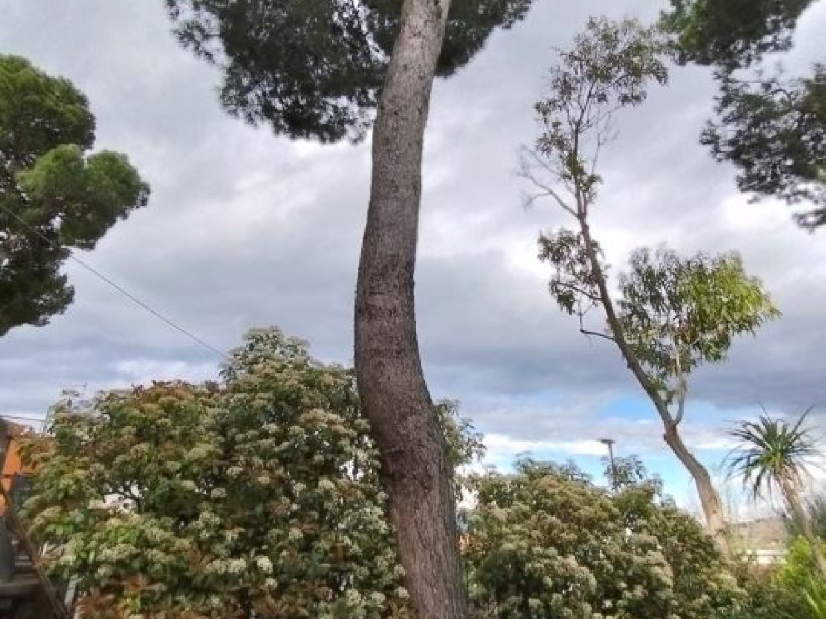 Villa for Sale Pescara Pescara, Sale Villa Pescara