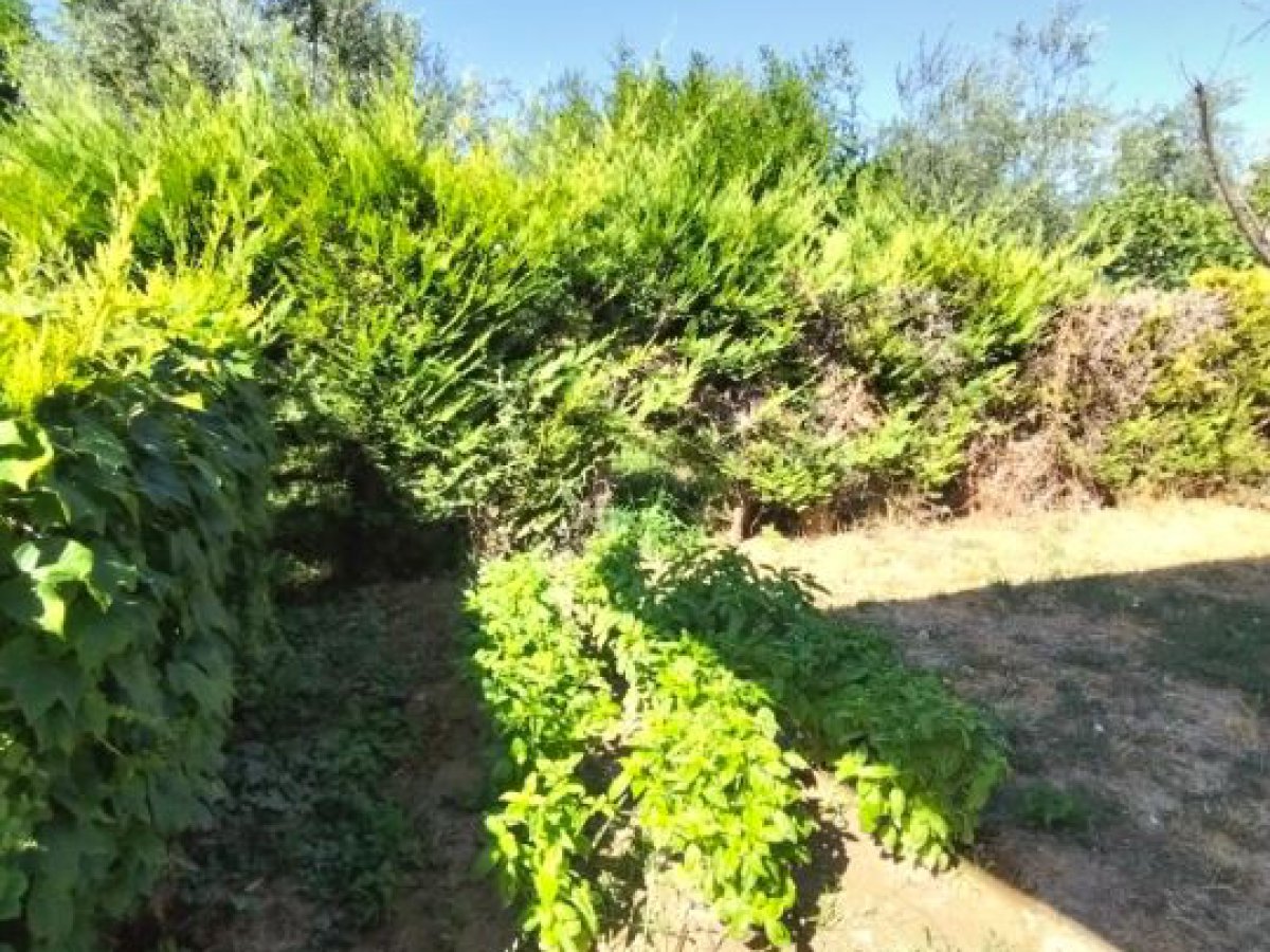 Villa for Sale Pianella Pescara, Sale Villa Pianella